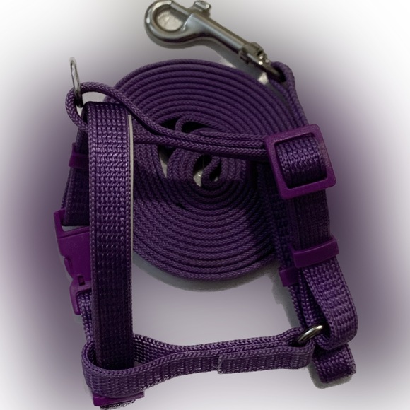 Kitten harness - Picture 2 of 2
